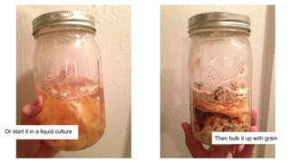 Or start it in a liquid culture
Then bulk it up with grain
 