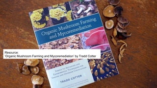 Resource:
‘Organic Mushroom Farming and Mycoremediation’ by Tradd Cotter
 