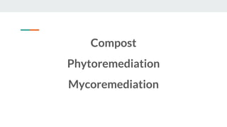 Compost
Phytoremediation
Mycoremediation
 
