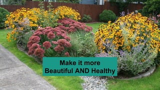 Make it more
Beautiful AND Healthy
 