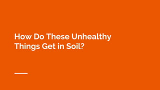 How Do These Unhealthy
Things Get in Soil?
 