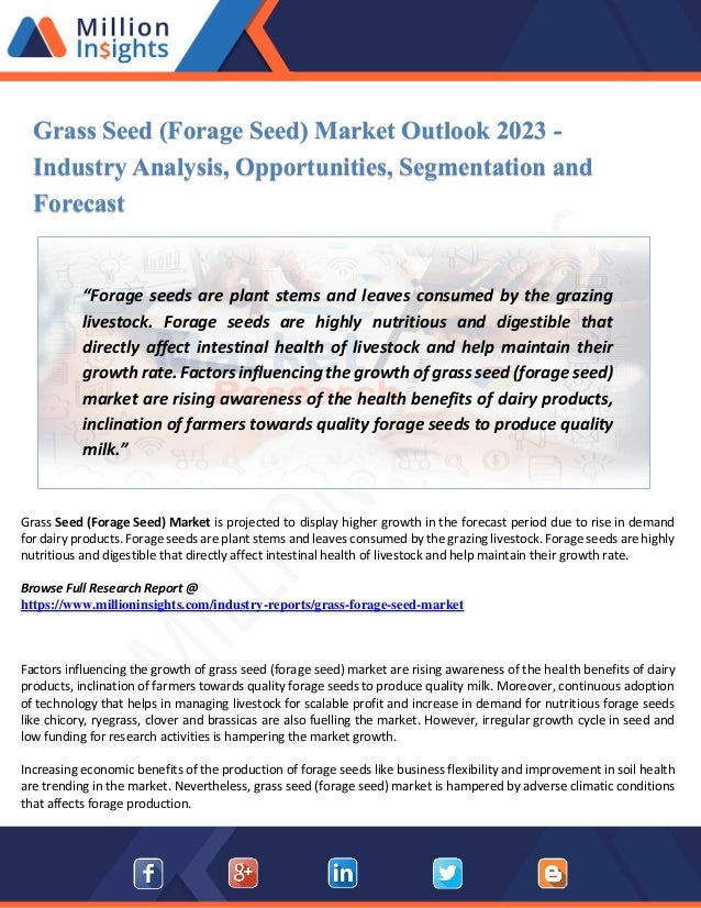 Grass Seed Forage Seed Market Report Industry Outlook Latest De