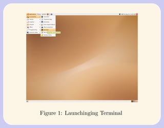Figure 1: Launchinging Terminal