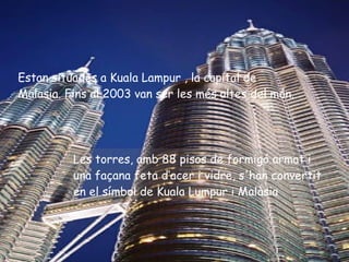 Estan situades a Kuala Lampur , la capital de Malasia. Fins al 2003 van ser les més altes del món. Les torres, amb 88 pisos de formigó armat i una façana feta d‘acer i vidre, s'han convertit en el símbol de Kuala Lumpur i Malàsia   