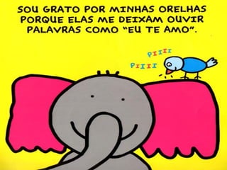 O Livro da Gratidão