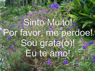 Gratidão Cleuta Fraga 11
 