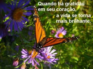 Gratidão Cleuta Fraga 13
 