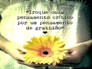 Gratidão Cleuta Fraga 19
 