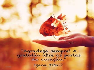 Gratidão Cleuta Fraga 24
 