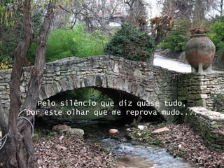 Pelo silêncio que diz quase tudo, por este olhar que me reprova mudo.... 