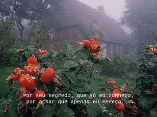 Por seu segredo, que só eu conheço, por achar que apenas eu mereço....   