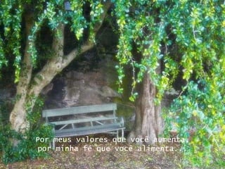 Por meus valores que você aumenta, por minha fé que você alimenta... 