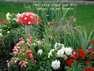 Por este olhar que diz: “ Amigo, vá em frente!” 