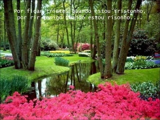 Por ficar triste, quando estou tristonho, por rir comigo quando estou risonho.... 
