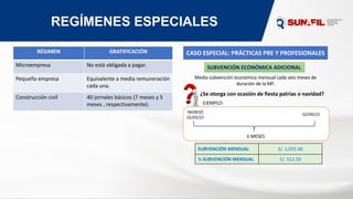 REGÍMENES ESPECIALES
RÉGIMEN GRATIFICACIÓN
Microempresa No está obligada a pagar.
Pequeña empresa Equivalente a media remuneración
cada una.
Construcción civil 40 jornales básicos (7 meses y 5
meses , respectivamente).
CASO ESPECIAL: PRÁCTICAS PRE Y PROFESIONALES
SUBVENCIÓN ECONÓMICA ADICIONAL
Media subvención económica mensual cada seis meses de
duración de la MF.
¿Se otorga con ocasión de fiesta patrias o navidad?
INGRESÓ
02/03/23
02/09/23
SUBVENCIÓN MENSUAL S/. 1,025.00
½ SUBVENCIÓN MENSUAL S/. 512.50
EJEMPLO:
6 MESES
 