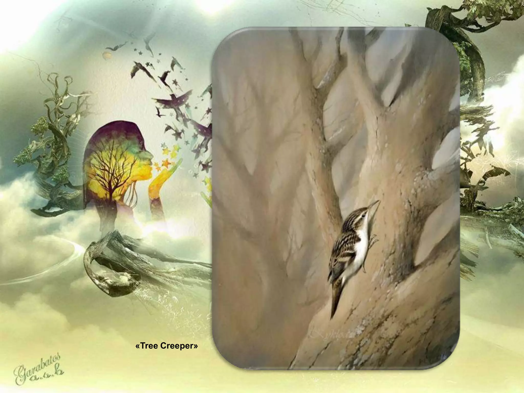 «Tree Creeper»
 
