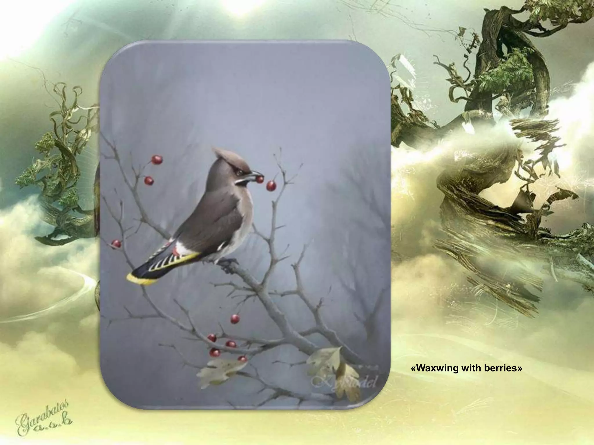 «Waxwing with berries»
 