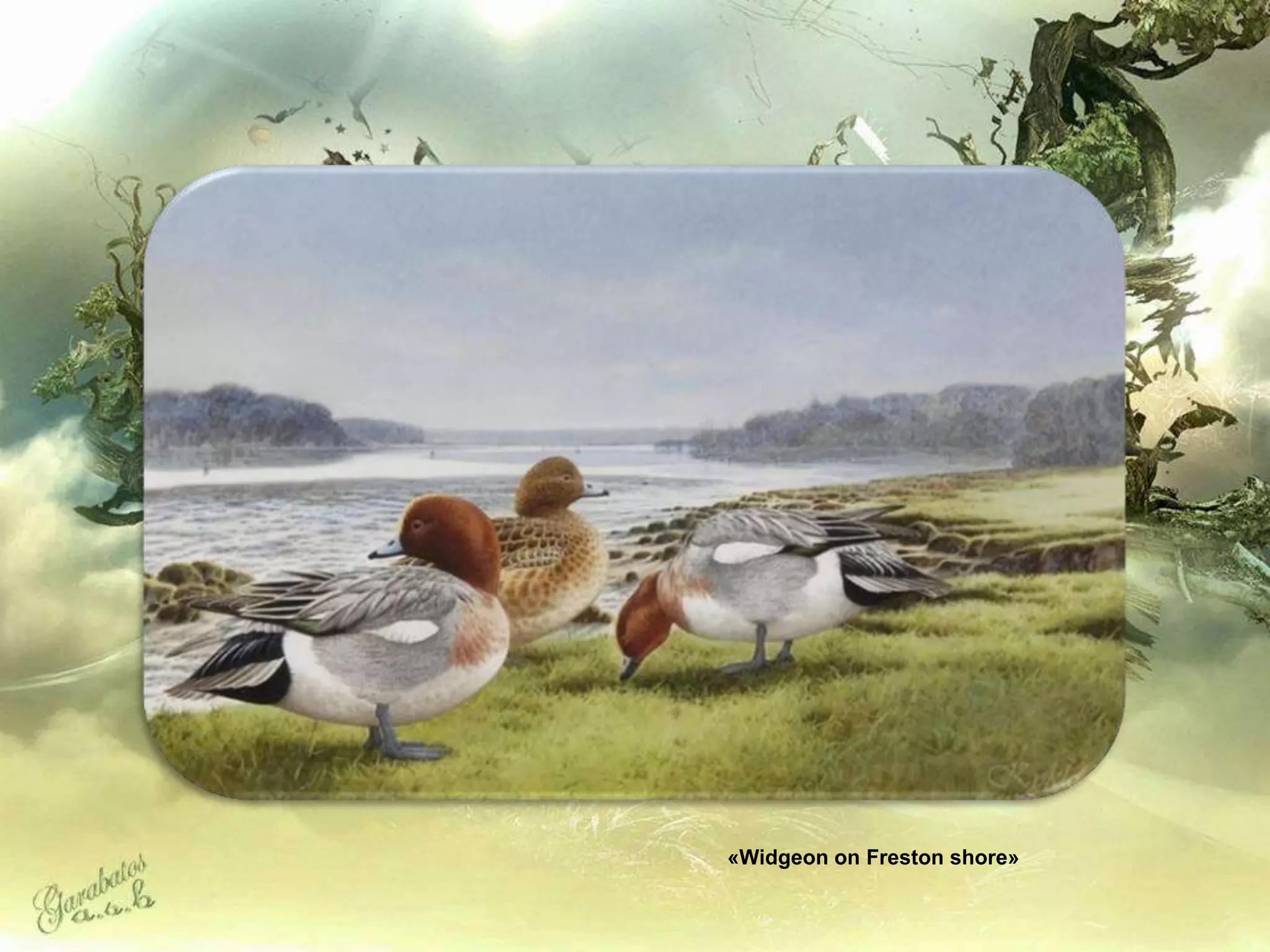 «Widgeon on Freston shore»
 