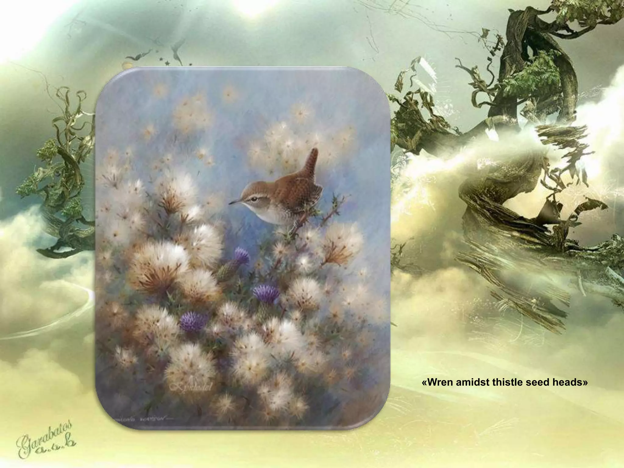 «Wren amidst thistle seed heads»
 