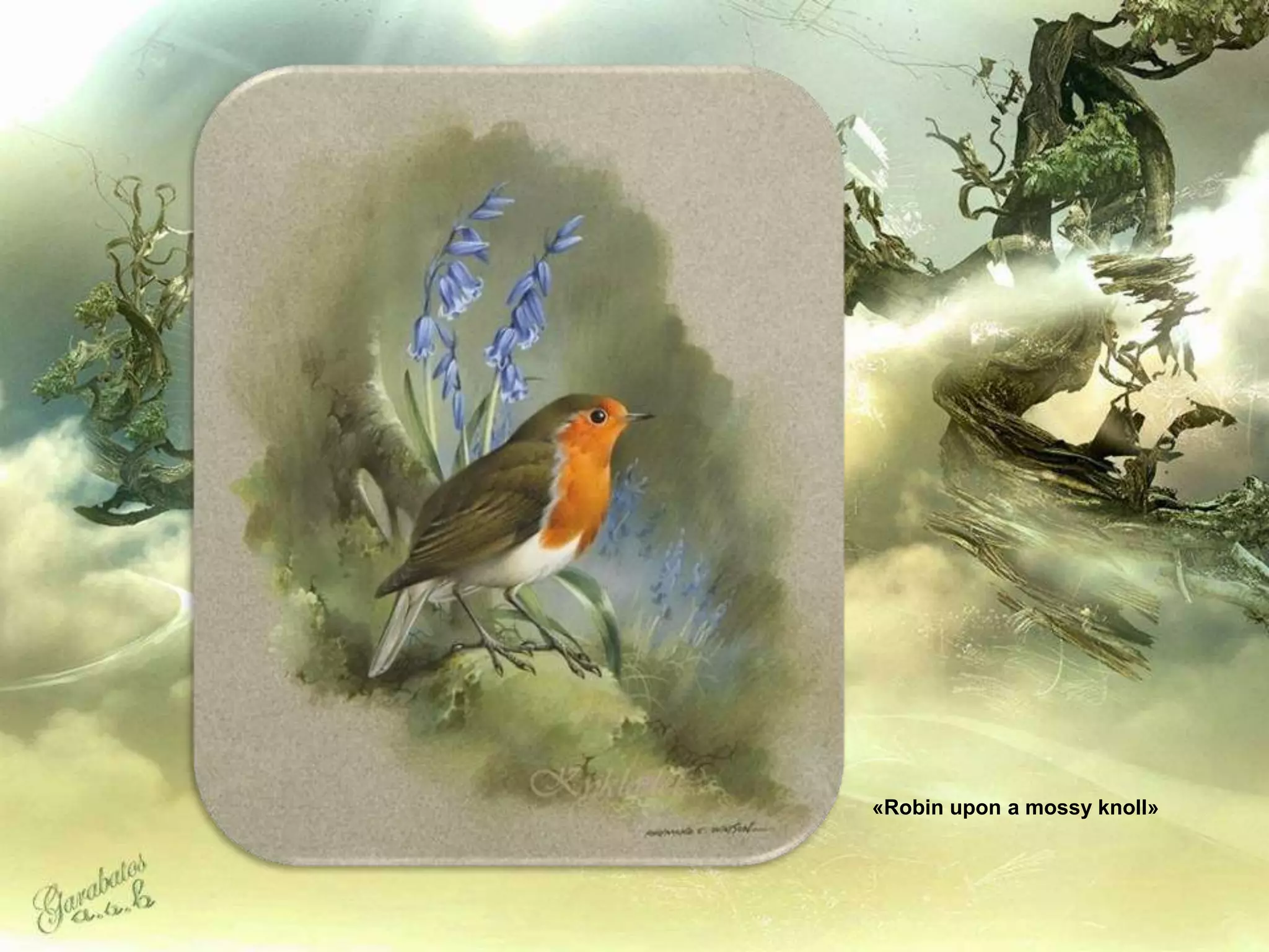 «Robin upon a mossy knoll»
 