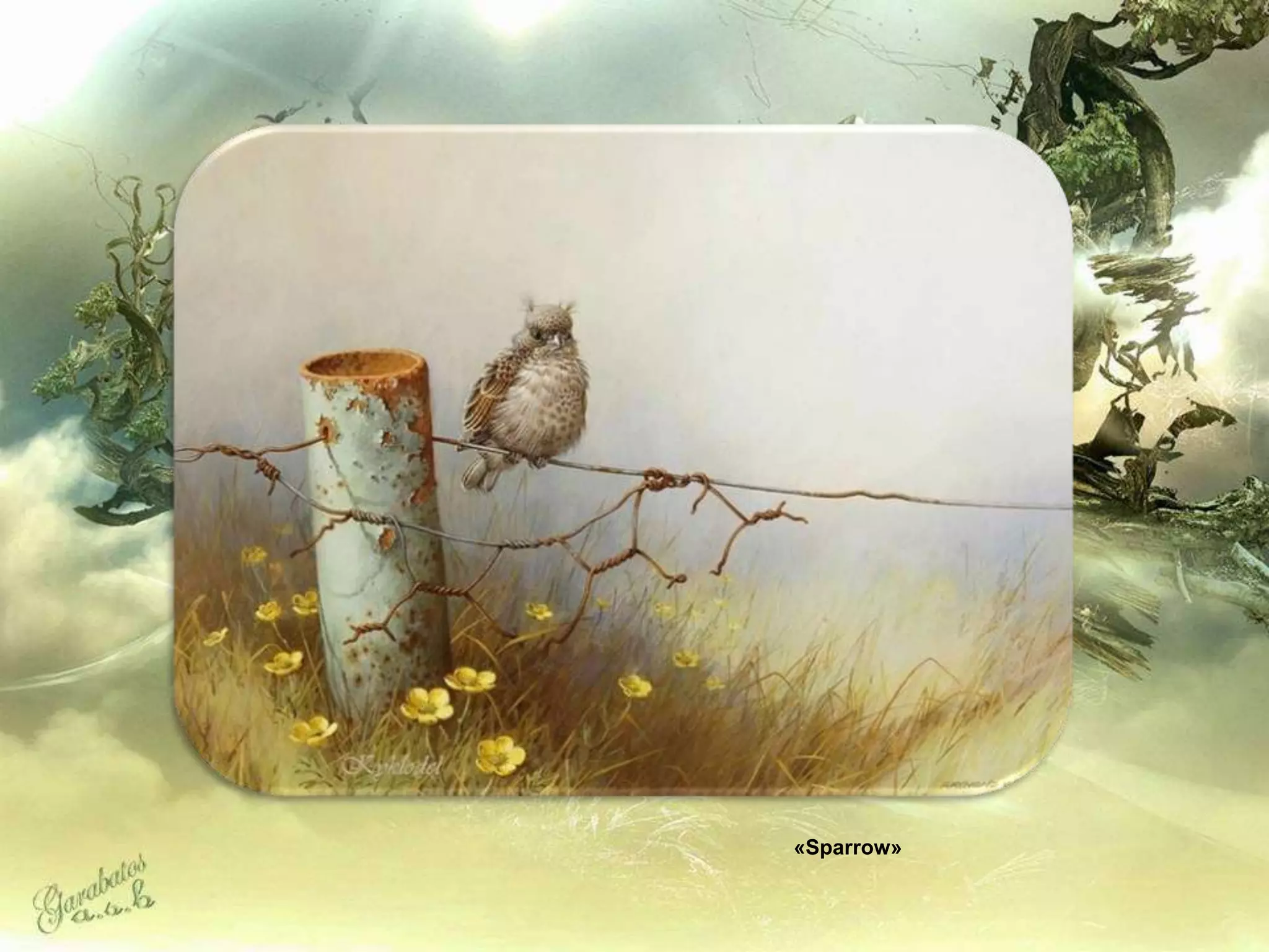 «Sparrow»
 