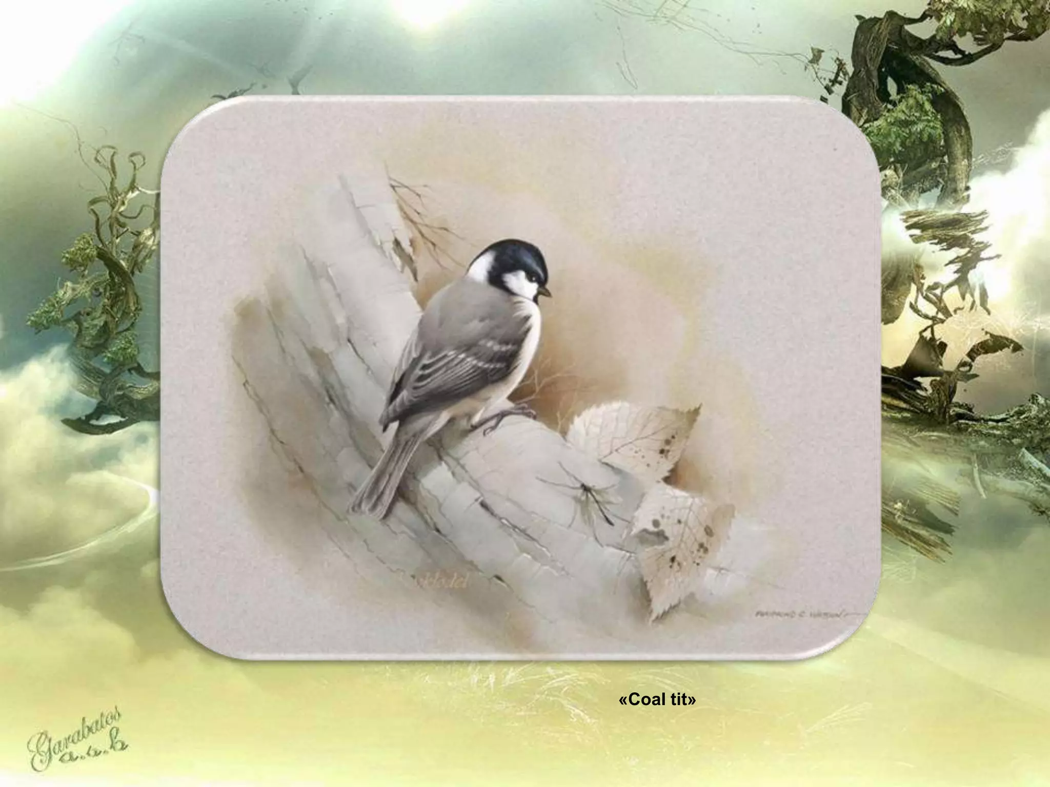 «Coal tit»
 