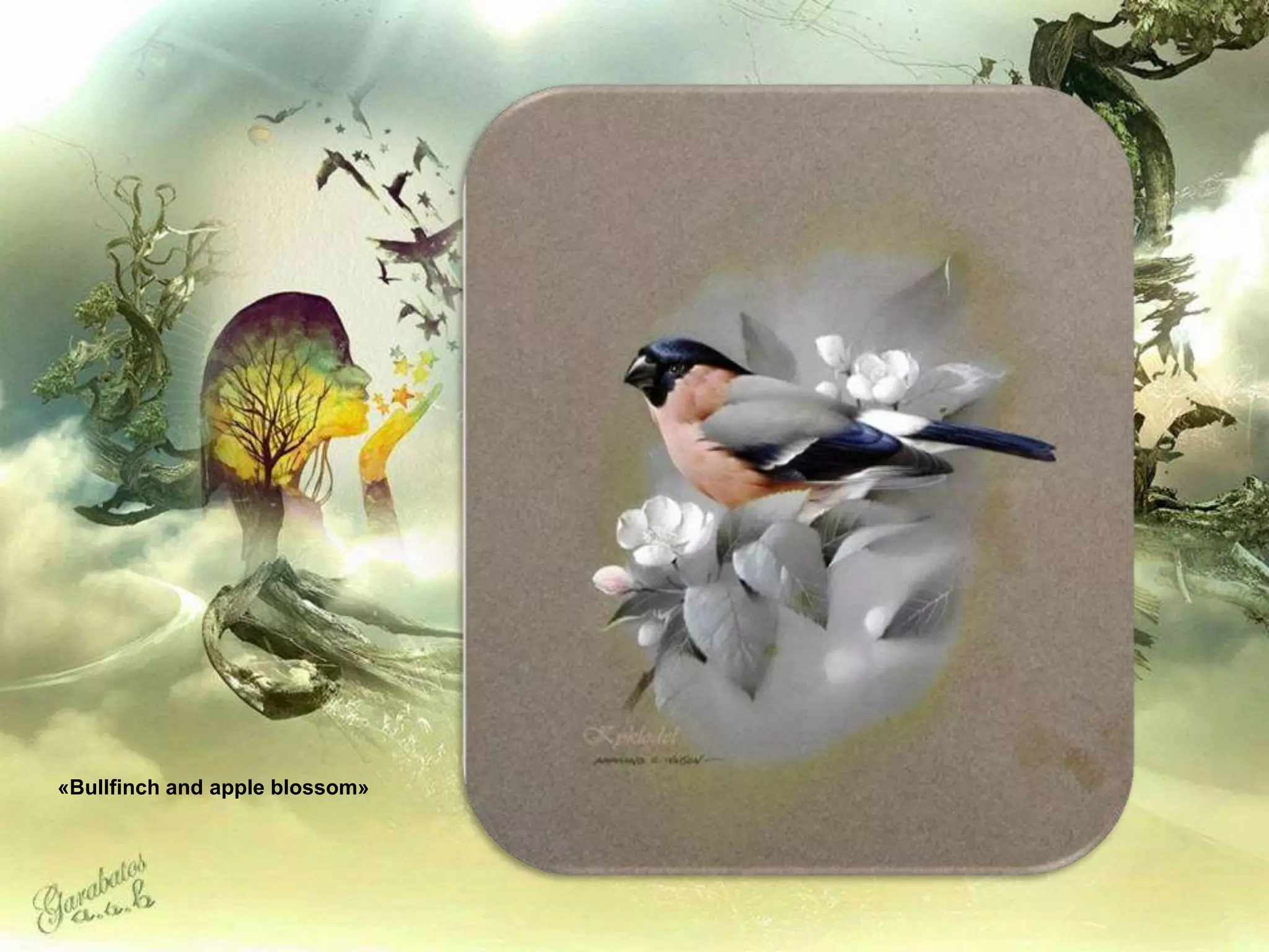 «Bullfinch and apple blossom»
 