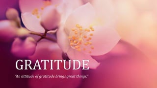 GRATITUDE
“An attitude of gratitude brings great things.”
 