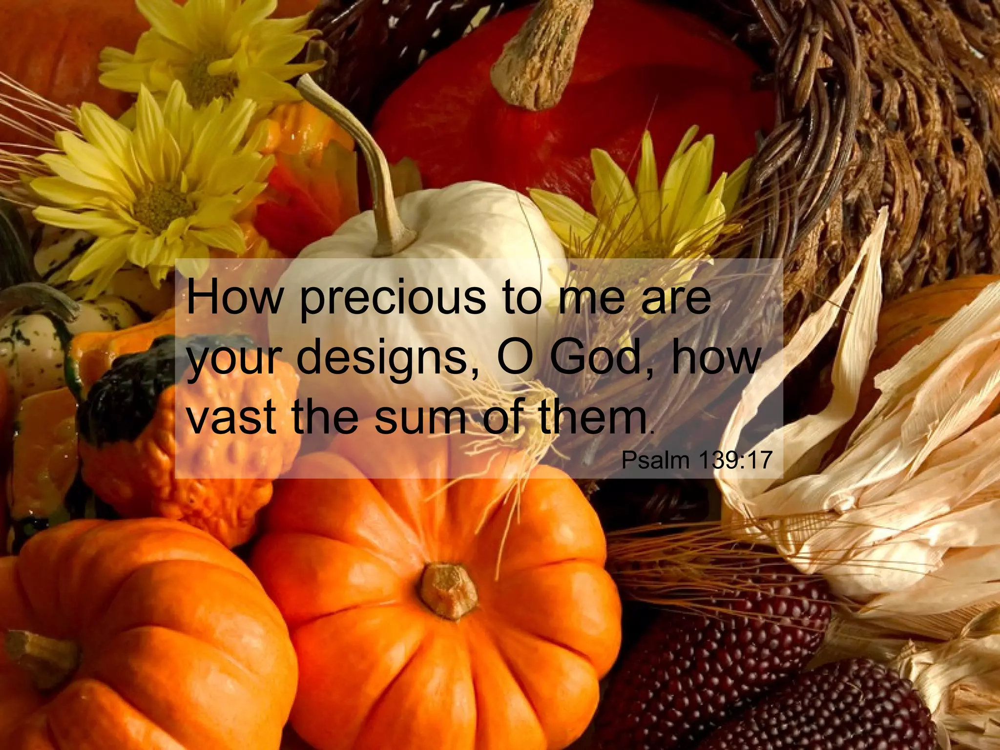 How precious to me are
your designs, O God, how
vast the sum of them.
Psalm 139:17
 
