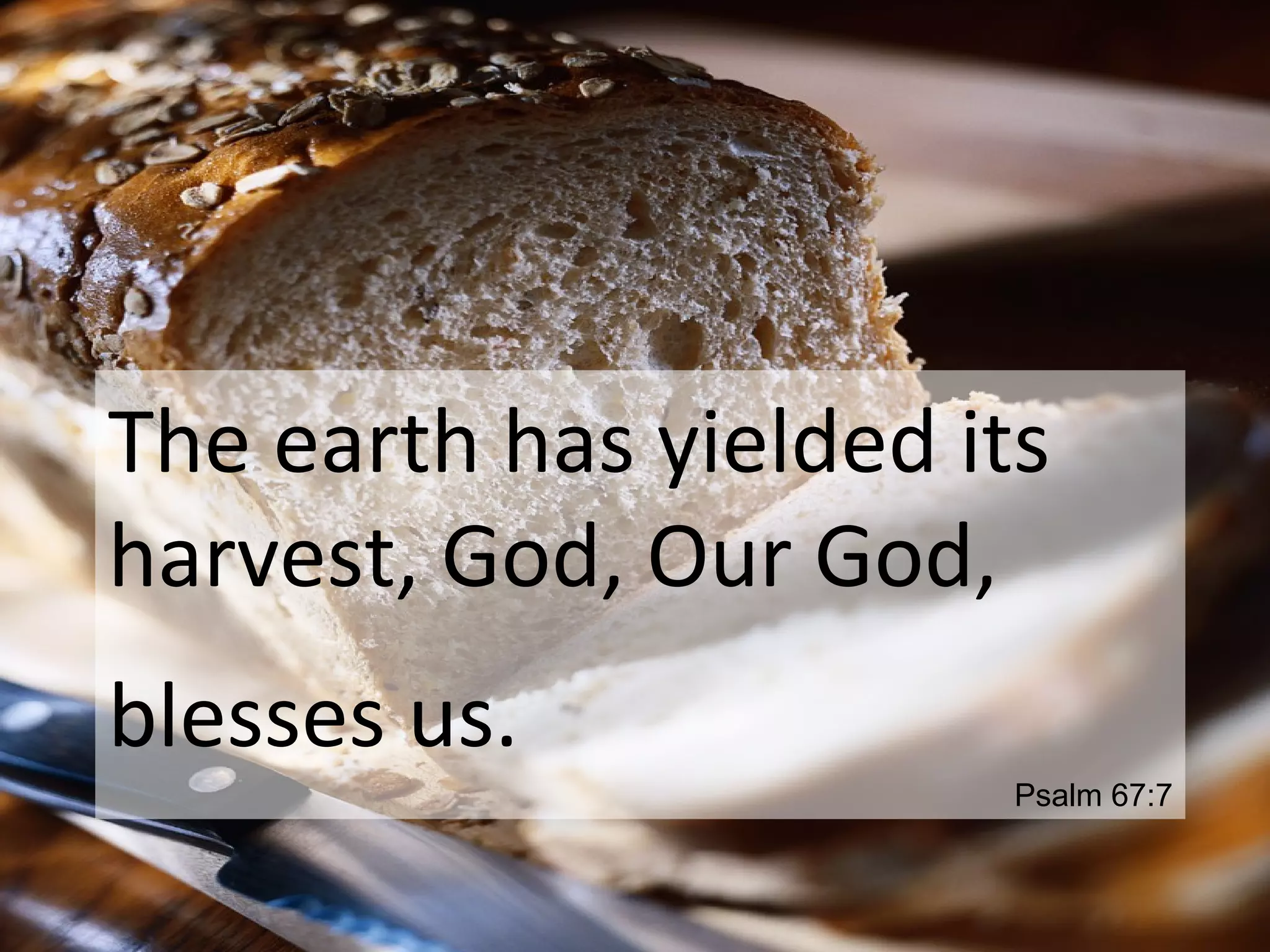 The earth has yielded its
harvest, God, Our God,
blesses us.
Psalm 67:7
 