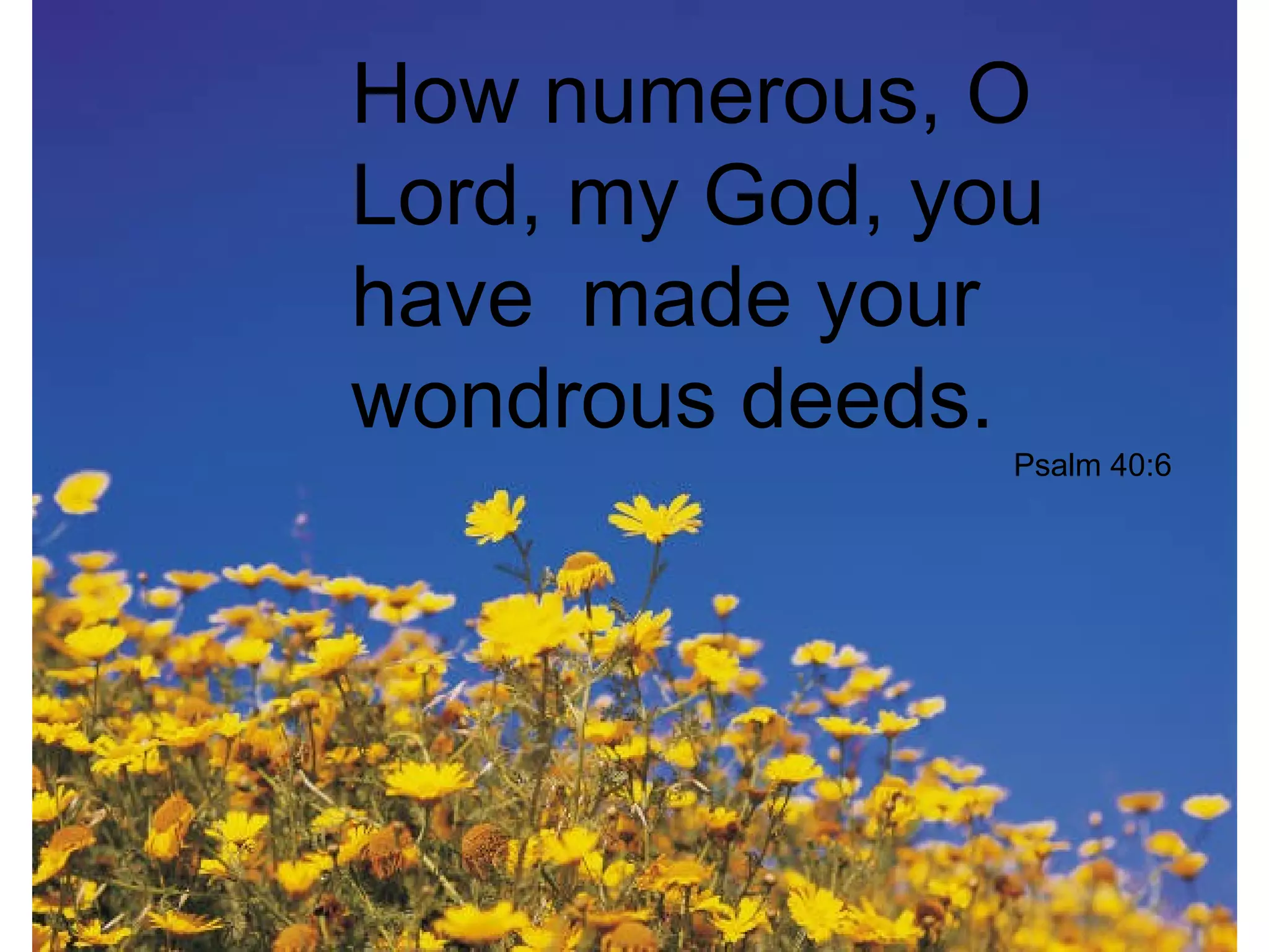 How numerous, O
Lord, my God, you
have made your
wondrous deeds.
Psalm 40:6
 