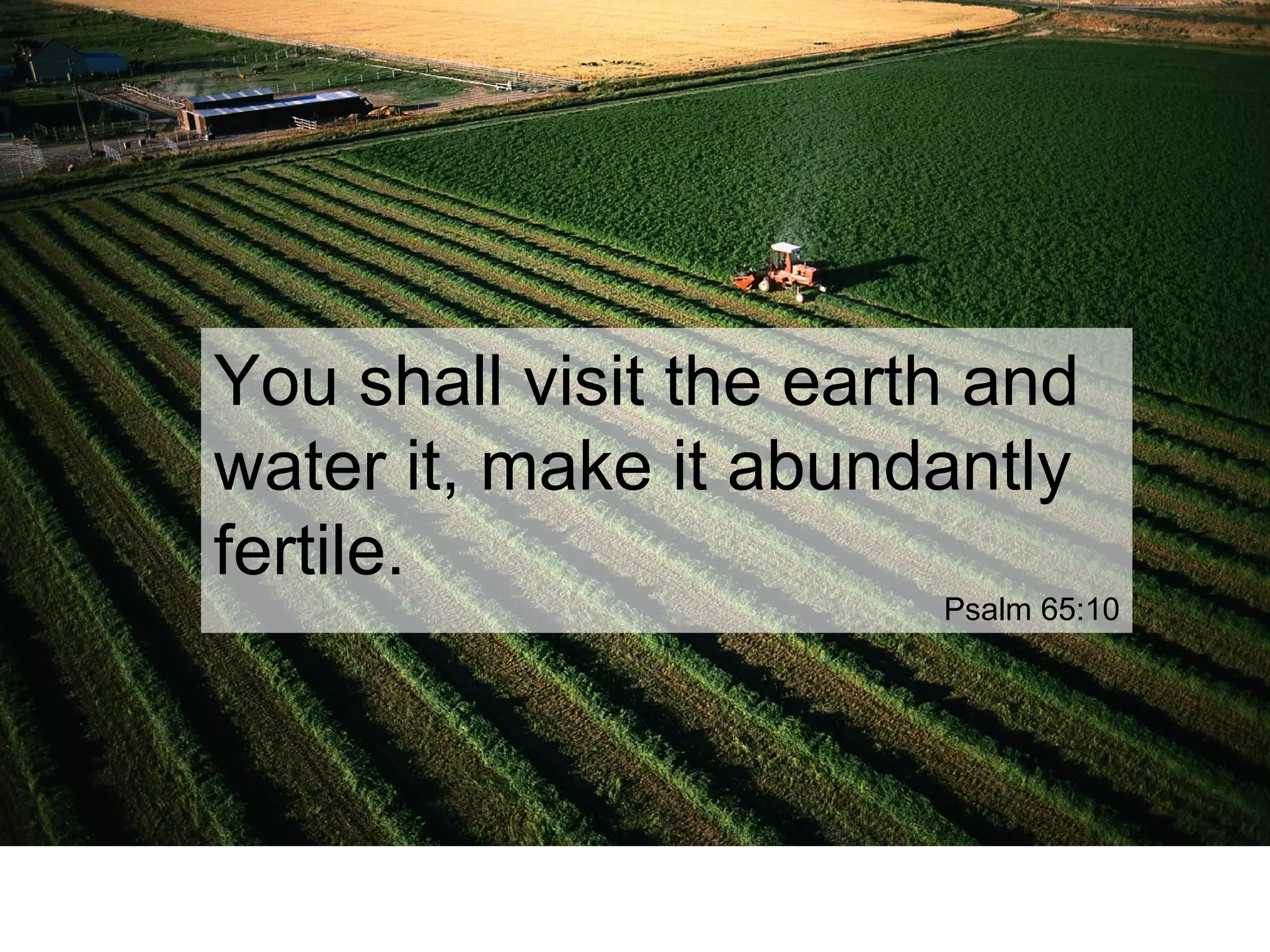 You shall visit the earth and
water it, make it abundantly
fertile.
Psalm 65:10
 