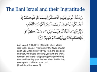 The Bani Israel and their Ingratitude




     And [recall, O Children of Israel], when Moses
     said to His people, "Remember the favor of Allah
     upon you when He saved you from the people of
     Pharaoh, who were afflicting you with the worst
     torment and were slaughtering your [newborn]
     sons and keeping your females alive. And in that
     was a great trial from your Lord.
     (Surah Ibrahim, Verse 6)
 