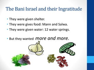The Bani Israel and their Ingratitude
• They were given shelter.
• They were gives food: Mann and Salwa.
• They were given water: 12 water springs.

• But they wanted   more and more.
 