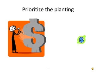 Prioritize the planting 