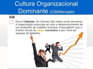 Estrutura FuncionalA Sacaria Estrela apresenta uma mistura entre Estrutura Mecanística e Estrutura Orgânica;