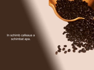 In schimb cafeaua a schimbat apa. 