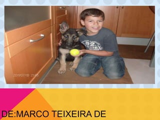 DE:MARCO TEIXEIRA DE
 