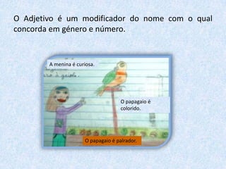 O Adjetivo é um modificador do nome com o qual
concorda em género e número.
A menina é curiosa.
O papagaio é
colorido.
O papagaio é palrador.