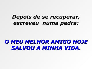 Depois de se recuperar, escreveu  numa pedra: O MEU MELHOR AMIGO HOJE SALVOU A MINHA VIDA. 