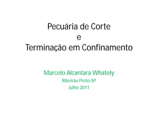 Pecuária de Corte
             e
Terminação em Confinamento

    Marcelo Alcantara Whately
          Ribeirão Preto-SP
             Julho 2011
 