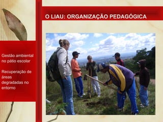 O LIAU: ORGANIZAÇÃO PEDAGÓGICA
Gestão ambiental
no pátio escolar
Recuperação de
áreas
degradadas no
entorno
 