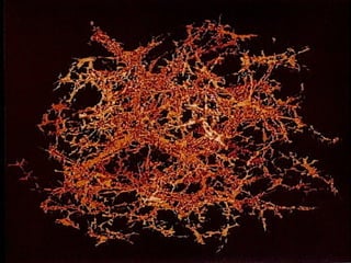 Evolução da ciência: o
mundo incomensuravelmente
grande
 