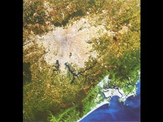 Cidade, hábitat do ser humano
 