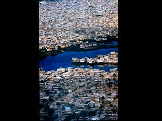 Cidade, hábitat do ser humano
 