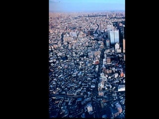 Cidade, hábitat do ser humano
 