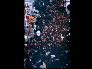 Cidade, hábitat do ser humano
 