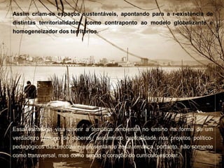 Assim criam-se espaços sustentáveis, apontando para a r-existência de
distintas territorialidades, como contraponto ao modelo globalizante e
homogeneizador dos territórios.
Essa estratégia visa inserir a temática ambiental no ensino na forma de um
verdadeiro dialogo de saberes, assumindo centralidade nos projetos político-
pedagógicos das escolas e apresentando essa temática, portanto, não somente
como transversal, mas como sendo o coração do currículo escolar.
 