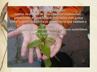 Essa estratégia educativaEssa estratégia educativa
avança na direção de uma cidadania responsável,avança na direção de uma cidadania responsável,
estimulando a construção de interações mais justasestimulando a construção de interações mais justas
entre os seres humanos e os demais seres que habitam oentre os seres humanos e os demais seres que habitam o
Planeta,Planeta,
para a construção de um presente e um futuropara a construção de um presente e um futuro sustentável,sustentável,
sadio e socialmente justo.sadio e socialmente justo.
 