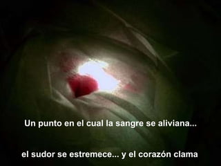 Un punto en el cual la sangre se aliviana... el sudor se estremece... y el corazón clama . 